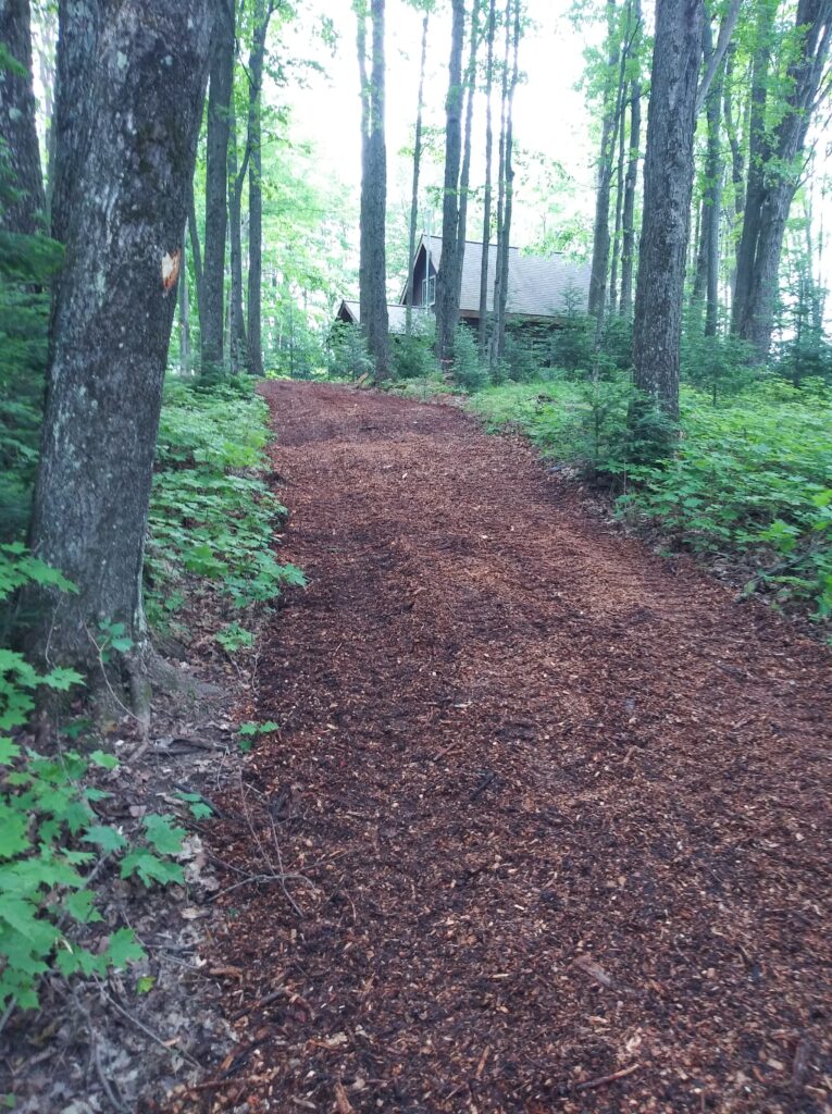 New easier access to trails